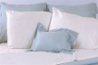 Luxurious Bamboo Pillowcase Set 